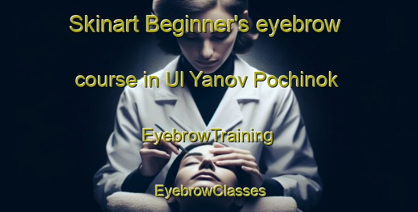 Skinart Beginner's eyebrow course in Ul Yanov Pochinok | EyebrowTraining | EyebrowClasses | SkinartTraining-Russia