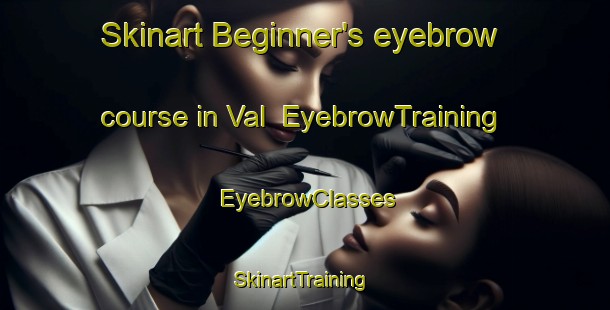 Skinart Beginner's eyebrow course in Val | EyebrowTraining | EyebrowClasses | SkinartTraining-Russia
