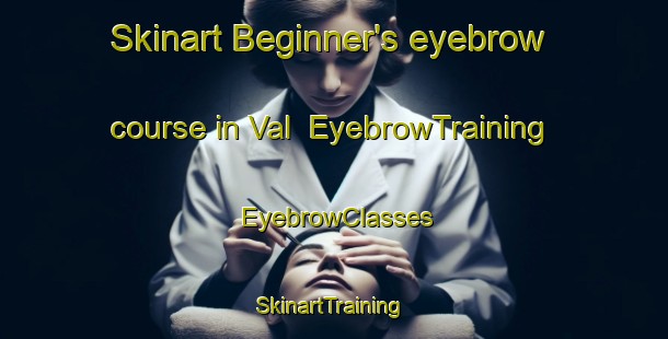 Skinart Beginner's eyebrow course in Val | EyebrowTraining | EyebrowClasses | SkinartTraining-Russia