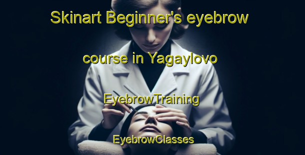 Skinart Beginner's eyebrow course in Yagaylovo | EyebrowTraining | EyebrowClasses | SkinartTraining-Russia