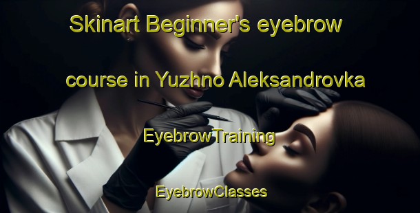 Skinart Beginner's eyebrow course in Yuzhno Aleksandrovka | EyebrowTraining | EyebrowClasses | SkinartTraining-Russia