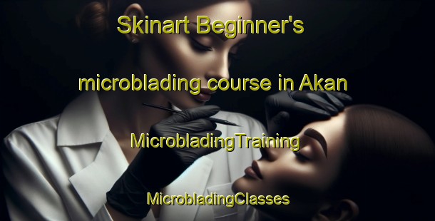 Skinart Beginner's microblading course in Akan | #MicrobladingTraining #MicrobladingClasses #SkinartTraining-Russia