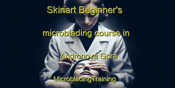 Skinart Beginner's microblading course in Andronova Gora | MicrobladingTraining | MicrobladingClasses | SkinartTraining-Russia
