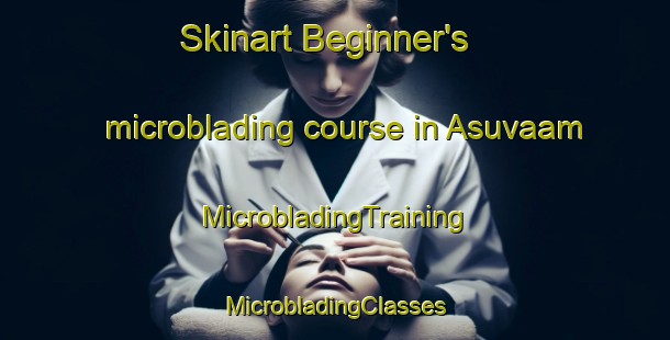 Skinart Beginner's microblading course in Asuvaam | #MicrobladingTraining #MicrobladingClasses #SkinartTraining-Russia