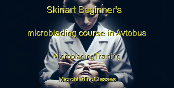 Skinart Beginner's microblading course in Avtobus | #MicrobladingTraining #MicrobladingClasses #SkinartTraining-Russia