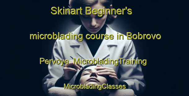 Skinart Beginner's microblading course in Bobrovo Pervoye | #MicrobladingTraining #MicrobladingClasses #SkinartTraining-Russia