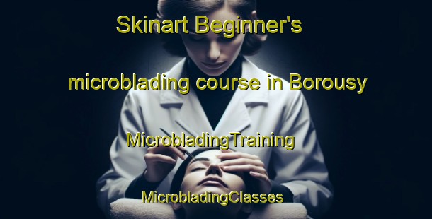 Skinart Beginner's microblading course in Borousy | MicrobladingTraining | MicrobladingClasses | SkinartTraining-Russia