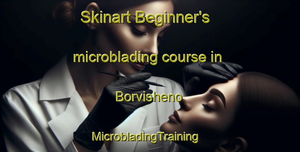 Skinart Beginner's microblading course in Borvisheno | MicrobladingTraining | MicrobladingClasses | SkinartTraining-Russia