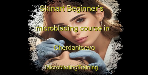 Skinart Beginner's microblading course in Cherdantsevo | MicrobladingTraining | MicrobladingClasses | SkinartTraining-Russia