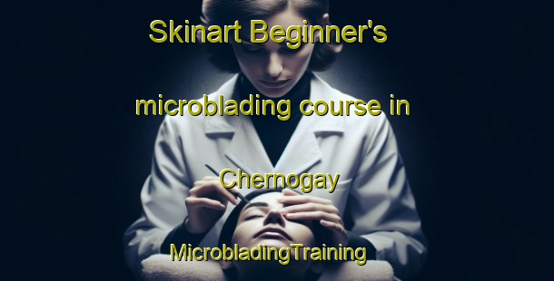 Skinart Beginner's microblading course in Chernogay | MicrobladingTraining | MicrobladingClasses | SkinartTraining-Russia