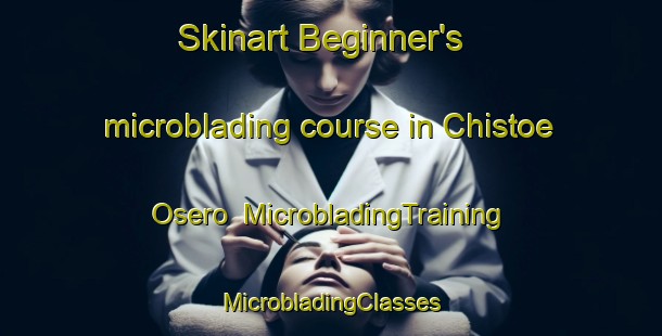 Skinart Beginner's microblading course in Chistoe Osero | #MicrobladingTraining #MicrobladingClasses #SkinartTraining-Russia