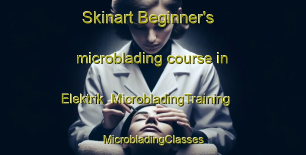 Skinart Beginner's microblading course in Elektrik | #MicrobladingTraining #MicrobladingClasses #SkinartTraining-Russia