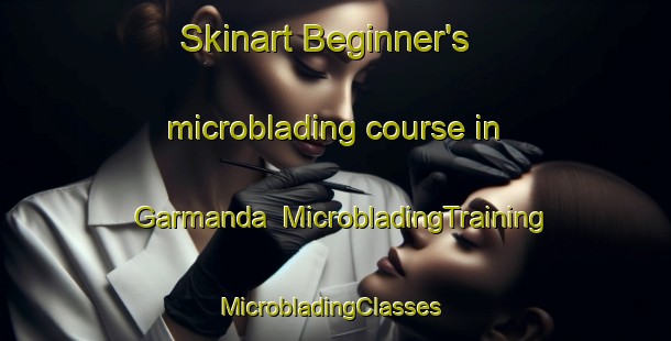Skinart Beginner's microblading course in Garmanda | MicrobladingTraining | MicrobladingClasses | SkinartTraining-Russia