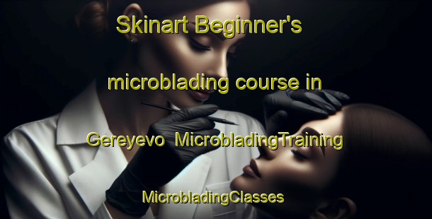 Skinart Beginner's microblading course in Gereyevo | MicrobladingTraining | MicrobladingClasses | SkinartTraining-Russia