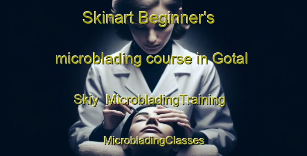 Skinart Beginner's microblading course in Gotal Skiy | #MicrobladingTraining #MicrobladingClasses #SkinartTraining-Russia