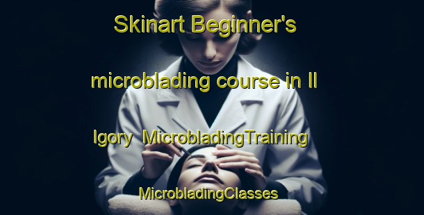 Skinart Beginner's microblading course in Il Igory | MicrobladingTraining | MicrobladingClasses | SkinartTraining-Russia