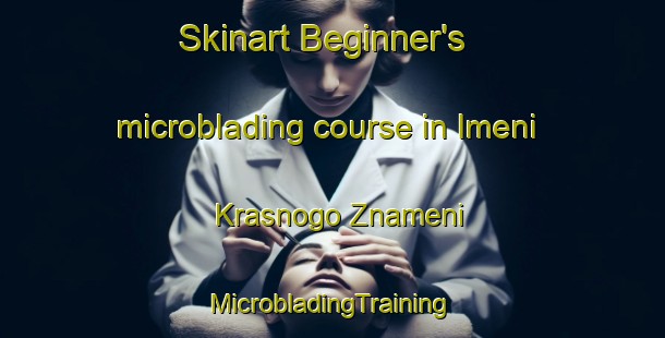 Skinart Beginner's microblading course in Imeni Krasnogo Znameni | #MicrobladingTraining #MicrobladingClasses #SkinartTraining-Russia