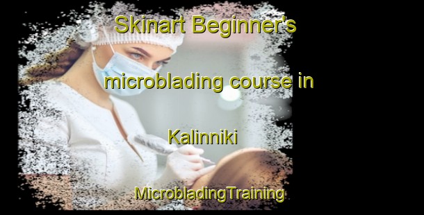 Skinart Beginner's microblading course in Kalinniki | #MicrobladingTraining #MicrobladingClasses #SkinartTraining-Russia