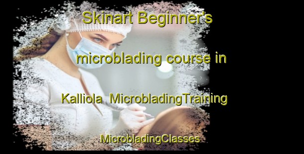 Skinart Beginner's microblading course in Kalliola | MicrobladingTraining | MicrobladingClasses | SkinartTraining-Russia