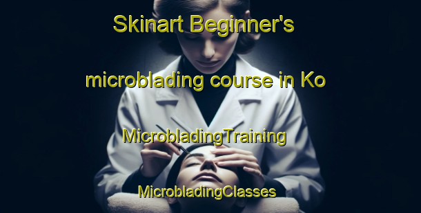 Skinart Beginner's microblading course in Ko | MicrobladingTraining | MicrobladingClasses | SkinartTraining-Russia