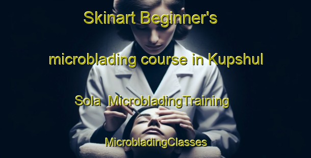 Skinart Beginner's microblading course in Kupshul Sola | #MicrobladingTraining #MicrobladingClasses #SkinartTraining-Russia