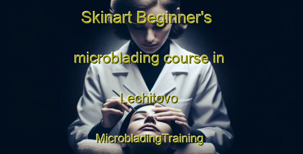 Skinart Beginner's microblading course in Lechitovo | #MicrobladingTraining #MicrobladingClasses #SkinartTraining-Russia