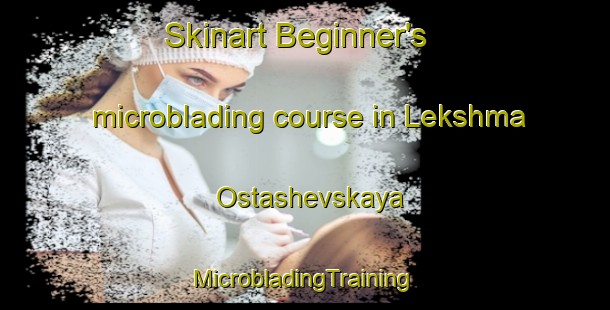 Skinart Beginner's microblading course in Lekshma Ostashevskaya | #MicrobladingTraining #MicrobladingClasses #SkinartTraining-Russia