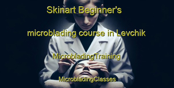 Skinart Beginner's microblading course in Levchik | #MicrobladingTraining #MicrobladingClasses #SkinartTraining-Russia