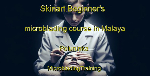 Skinart Beginner's microblading course in Malaya Poluninka | #MicrobladingTraining #MicrobladingClasses #SkinartTraining-Russia