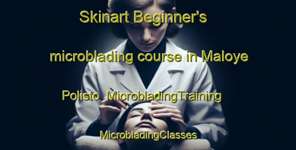 Skinart Beginner's microblading course in Maloye Polisto | #MicrobladingTraining #MicrobladingClasses #SkinartTraining-Russia