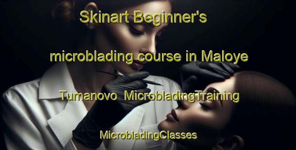 Skinart Beginner's microblading course in Maloye Tumanovo | #MicrobladingTraining #MicrobladingClasses #SkinartTraining-Russia