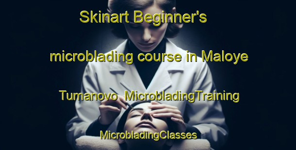 Skinart Beginner's microblading course in Maloye Tumanovo | #MicrobladingTraining #MicrobladingClasses #SkinartTraining-Russia