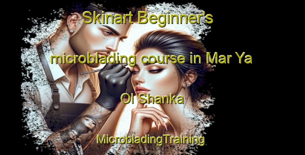 Skinart Beginner's microblading course in Mar Ya Ol Shanka | #MicrobladingTraining #MicrobladingClasses #SkinartTraining-Russia