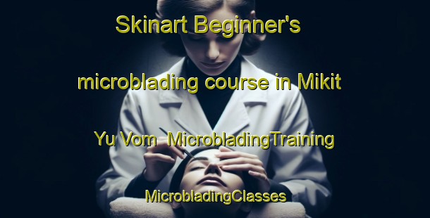 Skinart Beginner's microblading course in Mikit Yu Vom | #MicrobladingTraining #MicrobladingClasses #SkinartTraining-Russia