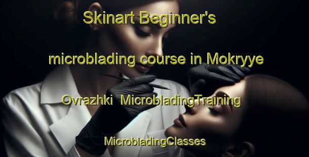 Skinart Beginner's microblading course in Mokryye Ovrazhki | #MicrobladingTraining #MicrobladingClasses #SkinartTraining-Russia