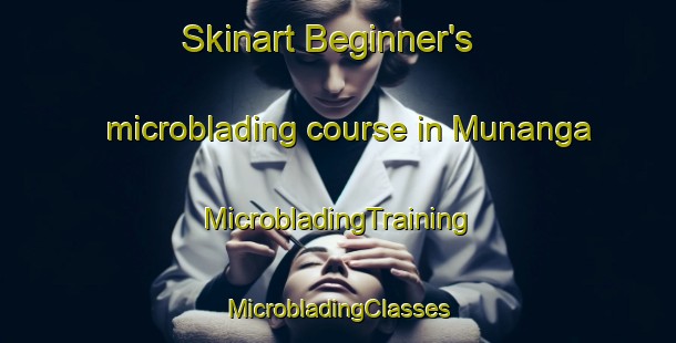 Skinart Beginner's microblading course in Munanga | #MicrobladingTraining #MicrobladingClasses #SkinartTraining-Russia