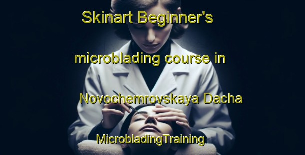 Skinart Beginner's microblading course in Novochemrovskaya Dacha | #MicrobladingTraining #MicrobladingClasses #SkinartTraining-Russia