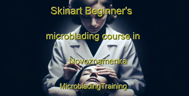 Skinart Beginner's microblading course in Novoznamenka | #MicrobladingTraining #MicrobladingClasses #SkinartTraining-Russia