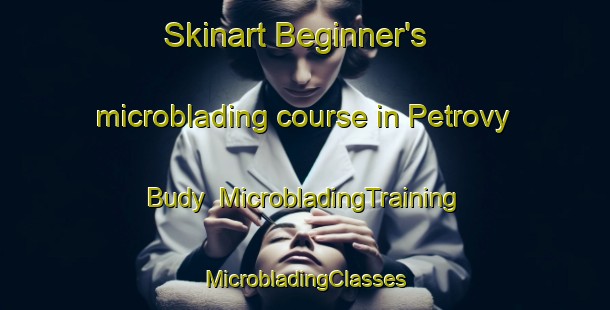 Skinart Beginner's microblading course in Petrovy Budy | #MicrobladingTraining #MicrobladingClasses #SkinartTraining-Russia