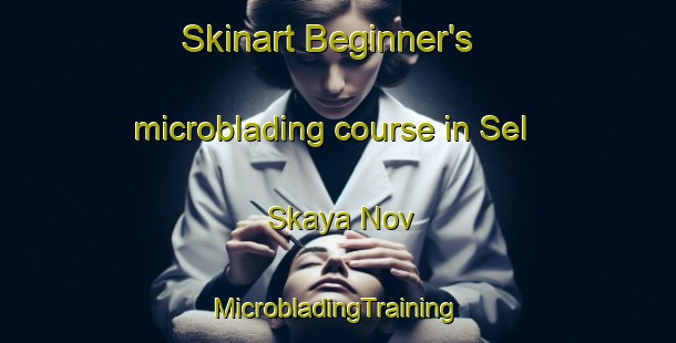 Skinart Beginner's microblading course in Sel Skaya Nov | #MicrobladingTraining #MicrobladingClasses #SkinartTraining-Russia