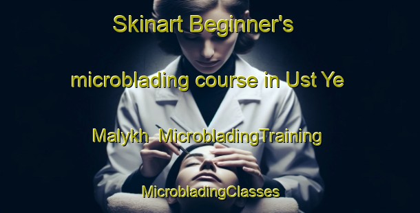 Skinart Beginner's microblading course in Ust Ye Malykh | #MicrobladingTraining #MicrobladingClasses #SkinartTraining-Russia