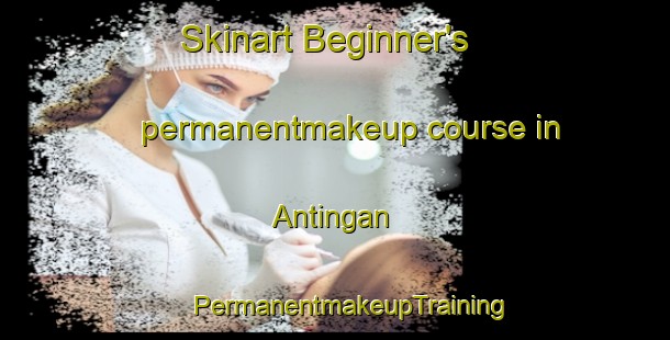 Skinart Beginner's permanentmakeup course in Antingan | #PermanentmakeupTraining #PermanentmakeupClasses #SkinartTraining-Russia