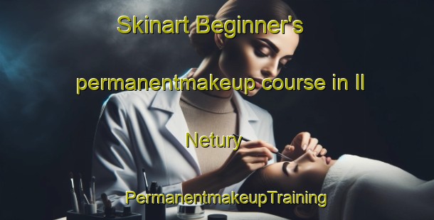 Skinart Beginner's permanentmakeup course in Il Netury | #PermanentmakeupTraining #PermanentmakeupClasses #SkinartTraining-Russia