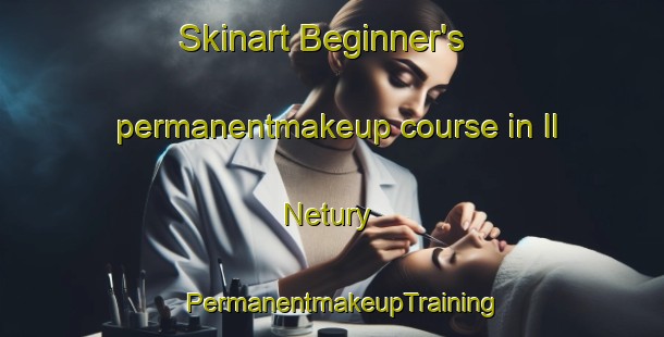 Skinart Beginner's permanentmakeup course in Il Netury | PermanentmakeupTraining | PermanentmakeupClasses | SkinartTraining-Russia