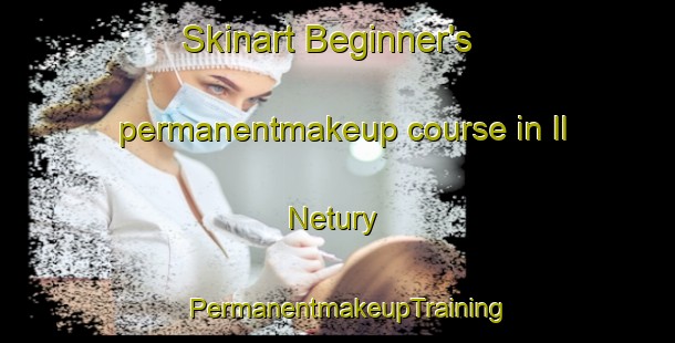 Skinart Beginner's permanentmakeup course in Il Netury | PermanentmakeupTraining | PermanentmakeupClasses | SkinartTraining-Russia
