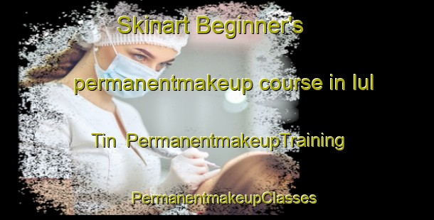 Skinart Beginner's permanentmakeup course in Iul Tin | PermanentmakeupTraining | PermanentmakeupClasses | SkinartTraining-Russia
