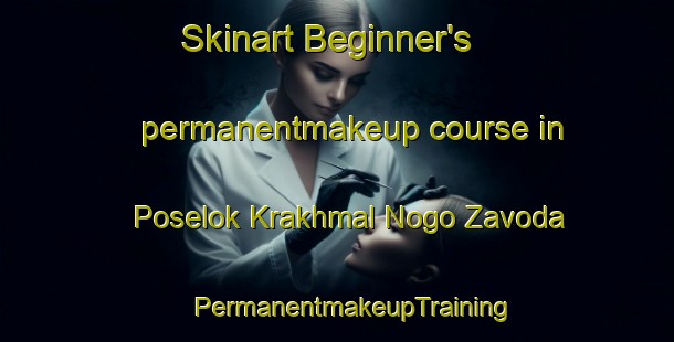 Skinart Beginner's permanentmakeup course in Poselok Krakhmal Nogo Zavoda | #PermanentmakeupTraining #PermanentmakeupClasses #SkinartTraining-Russia