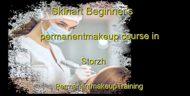 Skinart Beginner's permanentmakeup course in Storzh | #PermanentmakeupTraining #PermanentmakeupClasses #SkinartTraining-Russia