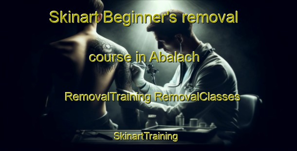 Skinart Beginner's removal course in Abalach | #RemovalTraining #RemovalClasses #SkinartTraining-Russia