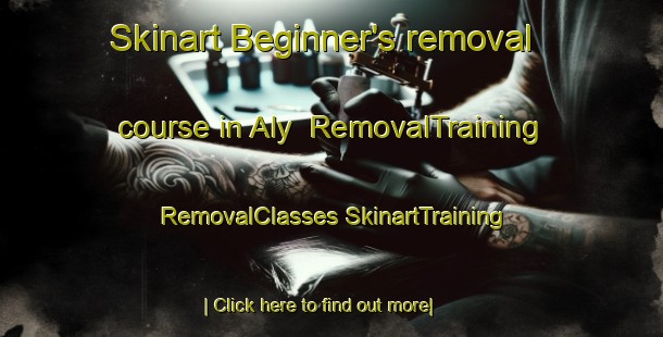 Skinart Beginner's removal course in Aly | #RemovalTraining #RemovalClasses #SkinartTraining-Russia